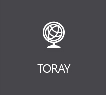 TORAY 